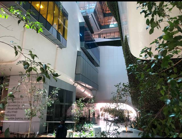 592M² OFFICE TO LET IN ROSEBANK